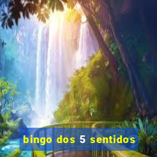 bingo dos 5 sentidos